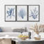 Feuille de plante bleue 3 pièces-91874807-91874804