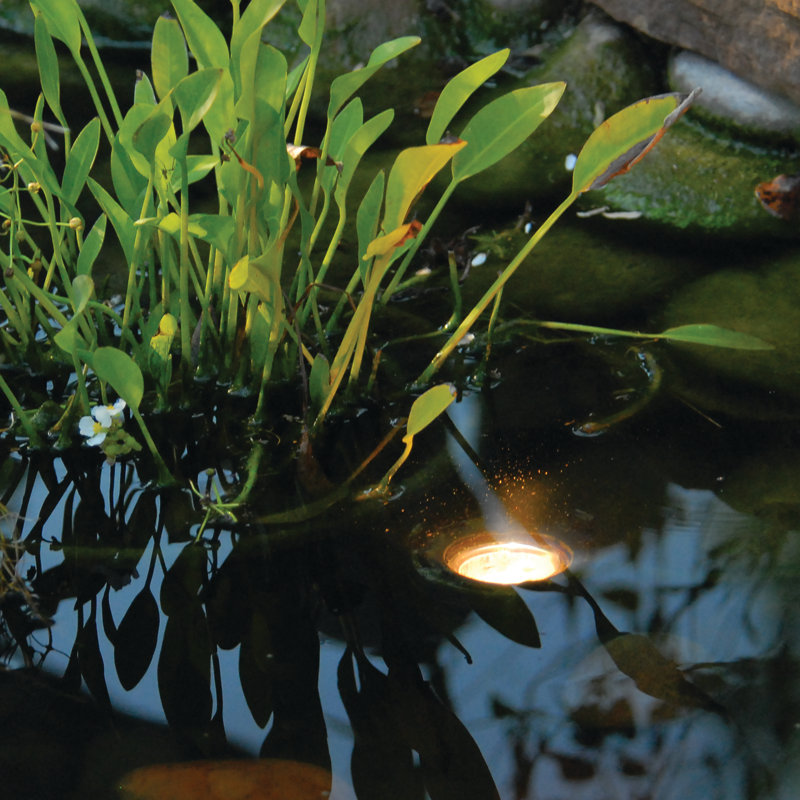 Low Voltage Plug-in Integrated LED Spotlight