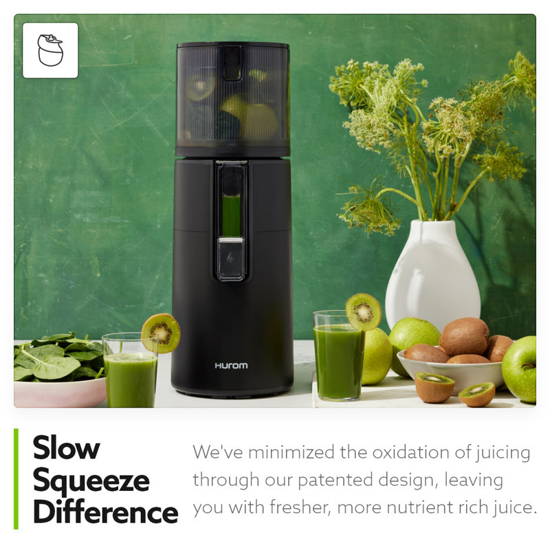 Hurom H400 Two Tone Easy Clean Slow Juicer