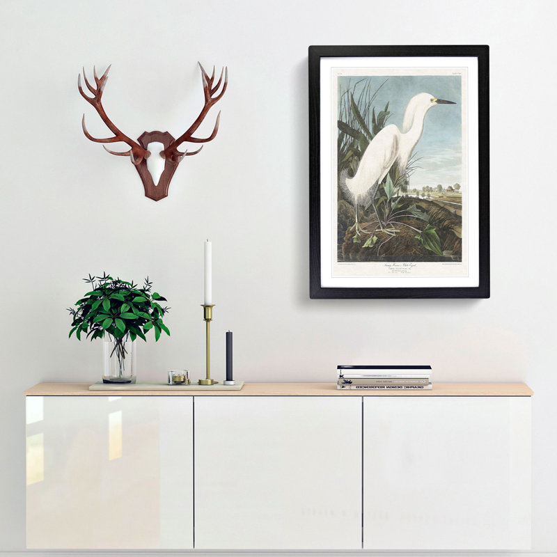 Snowy Heron by John Audubon - Picture Frame Painting Print, Black Framed, 65cm H x 48cm W x 2cm D