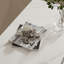 Table basse moderne et simple avec rangement
