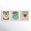 Magical Flowers. Set Of 3 Framed On Paper 3 Pieces by Andrea Stokes Print-1355756310-1355756312