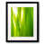 Black Framed Paper is unavailable