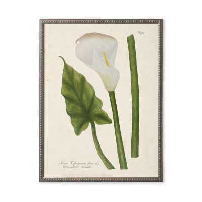 Fleur blanche, feuille et tige dans un cadre perlé argenté