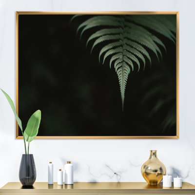 " Dark Green Ferns In The Forest II "