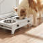 Knowles Feeding Stations-1048064140