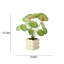 10,24 po plante artificielle