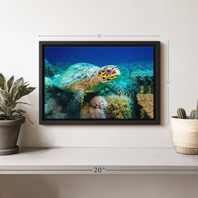 Turtle Underwater Reef Canvas Print, 9" H x 13" W