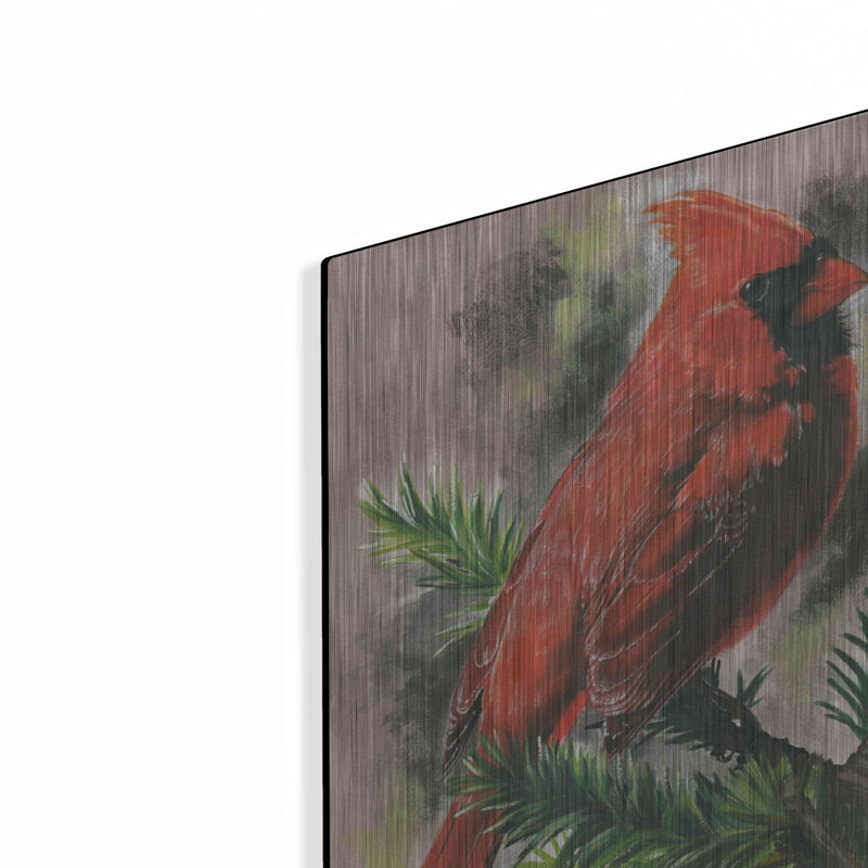 «Show-Off» par Barbara Keith, H 16 po x l 12 po