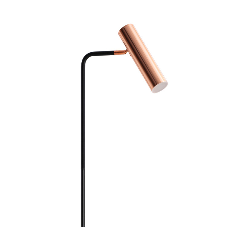 Lefke 158cm LED Arched Floor Lamp