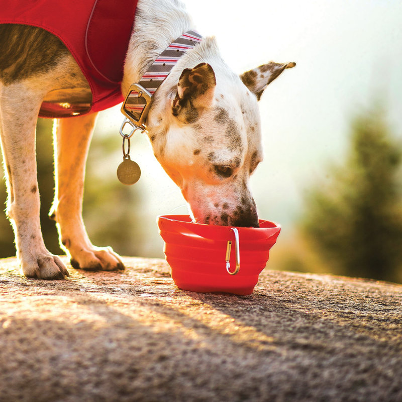 Collaps-A- Bowl, Red