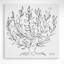 Plain Tree by Henri Matisse - Closed Corner Frame Print on Canvas-558799200
