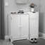 Mounting / Installation Required Bathroom Cabinet