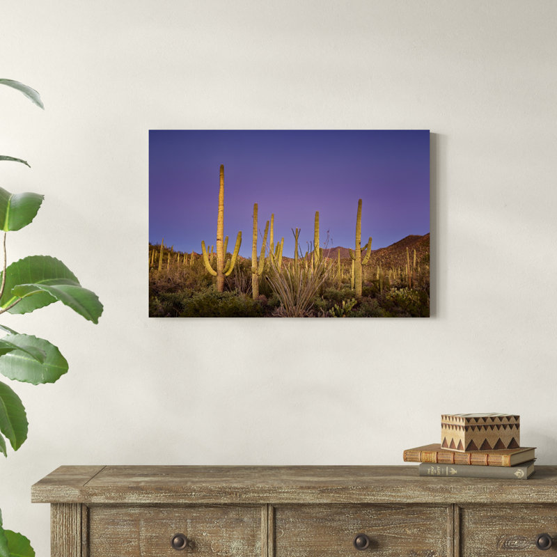 " Cacti View I " by David Drost, 20" H x 30" W x 1.25" D