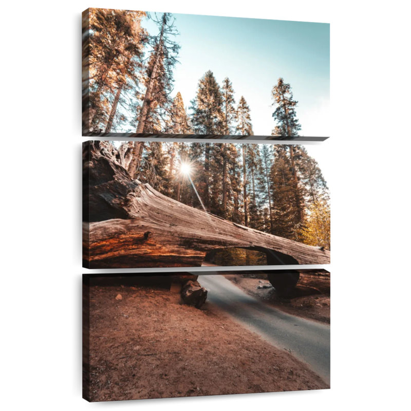 Alvord Tree Underpass, 32" H x 20" W