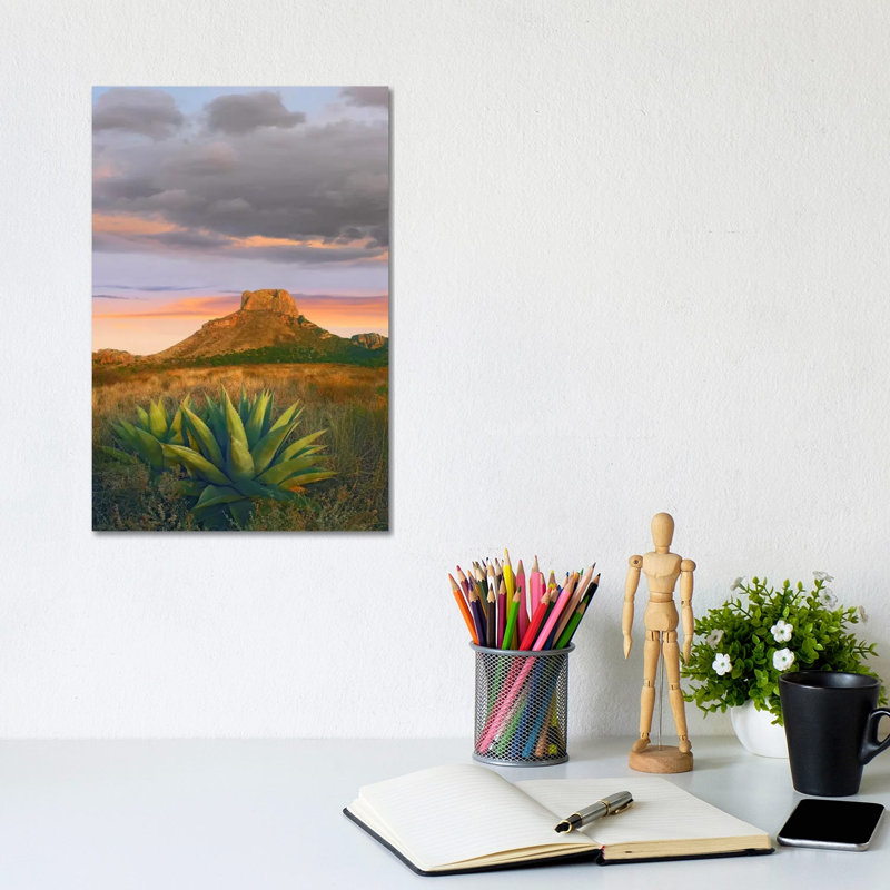 Lechuguilla Agave with Casa Grande in the Distance, Big Bend National Park, Texas 1 Piece Wrapped Canvas Wall Art