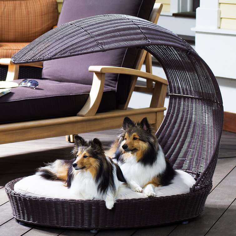 Murrow Large Polyfill Lounger Classic Dog Bed Archie & Oscar Size: 36 W x 27 D x 8 H