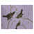 Mauve / Brun