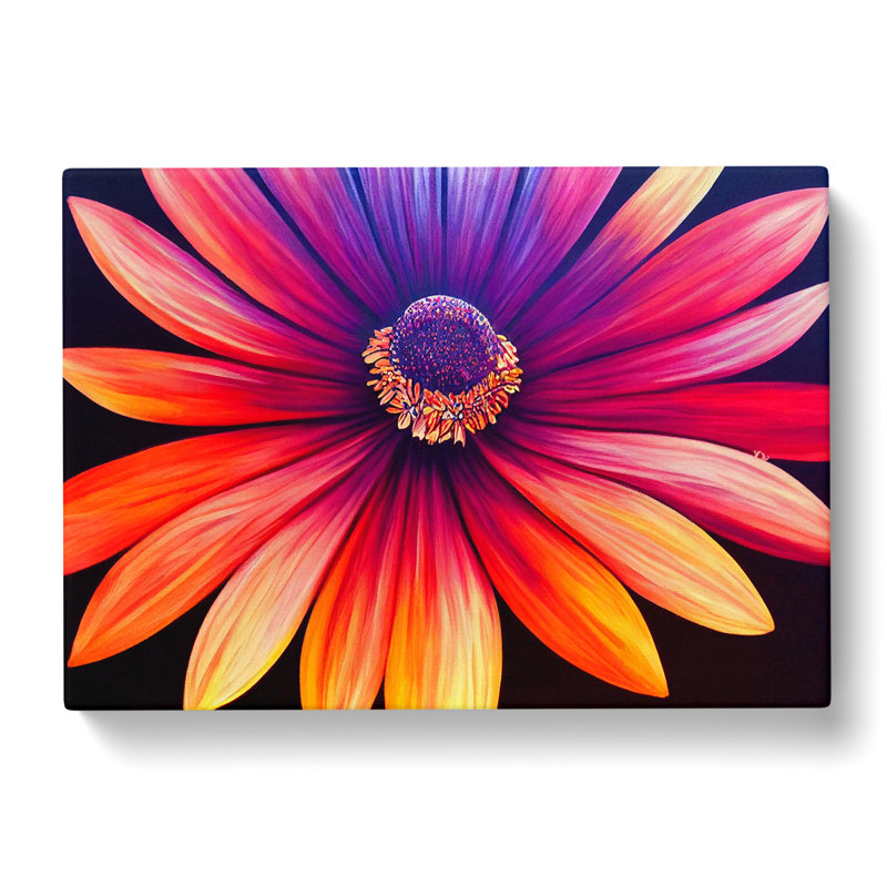 Dreamy Daisy Flower - Wrapped Canvas, 35cm H x 50cm W x 3cm D