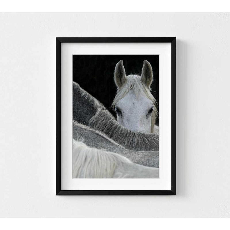 Reproduction de photo de cheval - force tranquille, décor moderne, H 12 po x l 16 po, Impression encadrée avec passe-partout