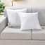 Guaymas 2PK 20 X 20 pouces Coussins décoratifs en polypropylène léger et doux Coussin décoratif pour lit et canapé d'intérieur E95558195BE0443792C916D2CA49FD89