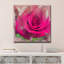 «Painted Petals XL», reproduction de photo sur toile tendue-28141320