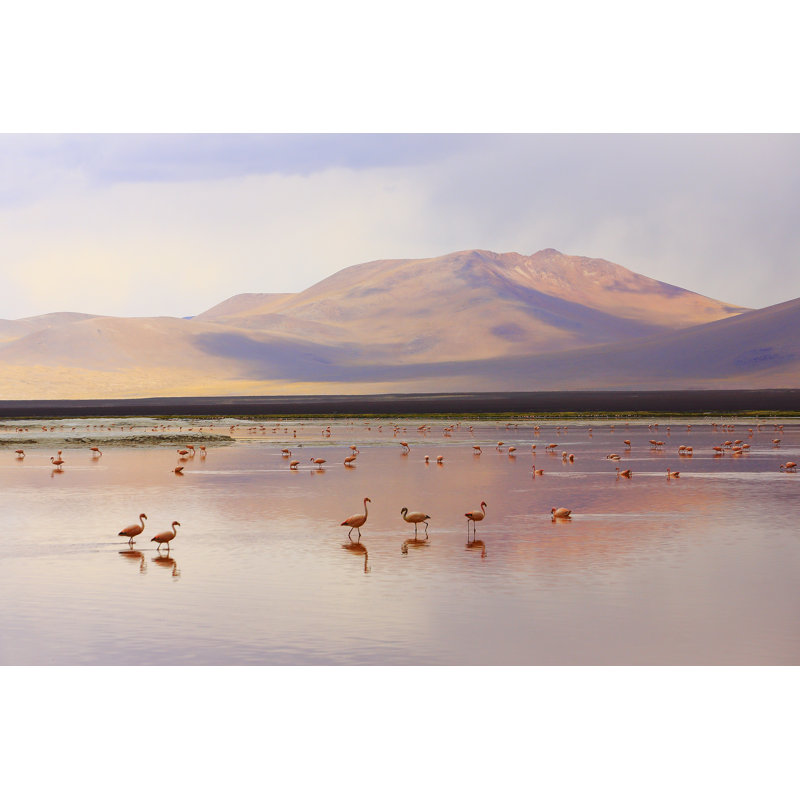 Impressive Laguna Colorada 1 Piece Wrapped Canvas Wall Art, 30cm H x 46cm W
