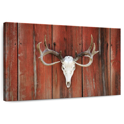 Kerner Deer Skull Western