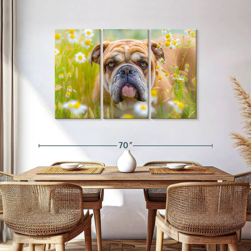 Bouledogue anglais Brampt jouant, H 36 po x l 57 po