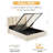 Balynda Upholstered Storage Platform Bed-69225901-69225896