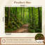 Papier peint adhésif pelez et collez, chemin de la forêt verte, grands arbres, feuillage ensoleillé, art mural auto-adhésif et amovible-1441852804