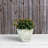 Alaunah Pot Planter-840690736-840690747