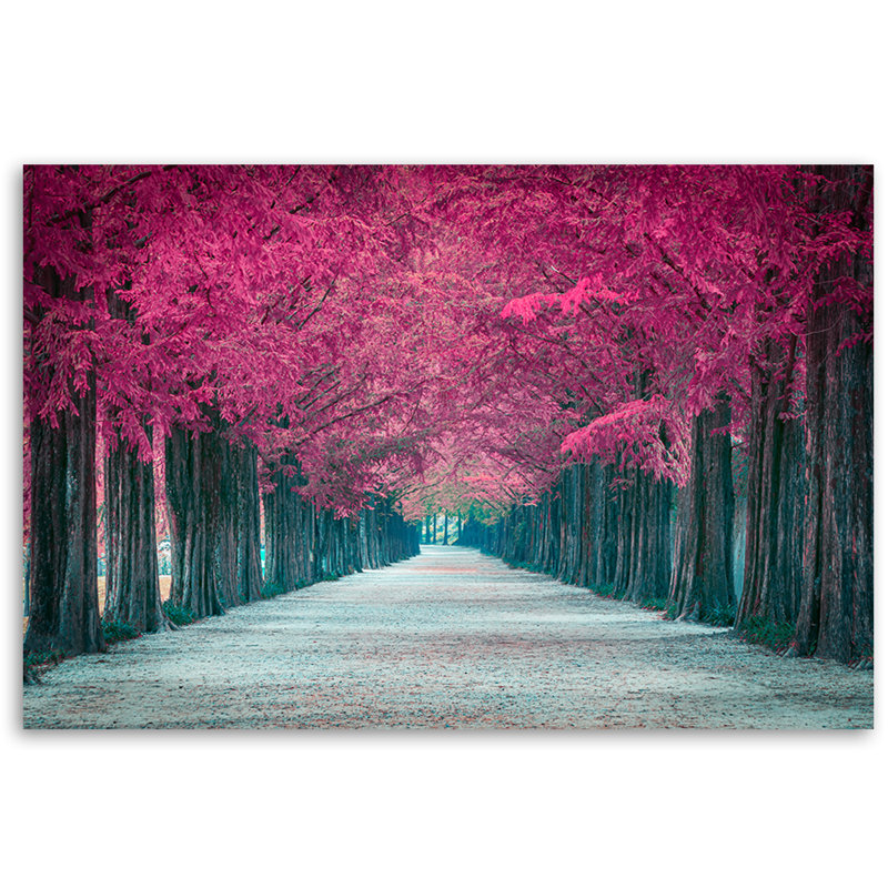 Avenue Of Pink Trees Photographic - Wrapped Canvas Print
