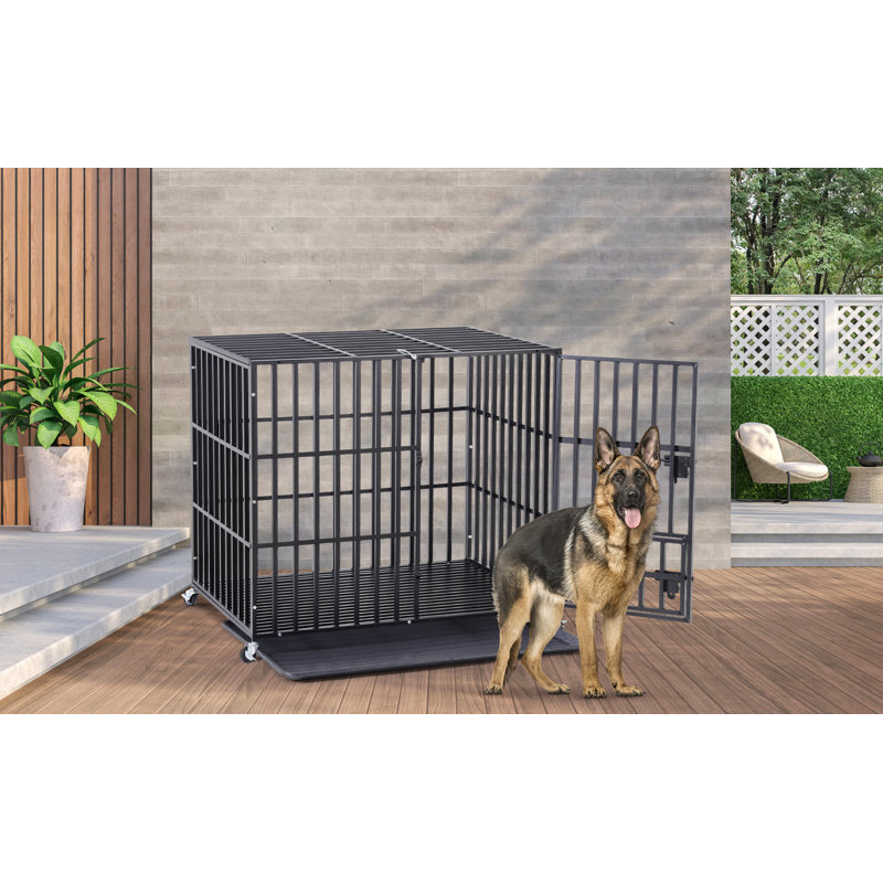 Metal Caster For Pet Crate, 35" H x 42" W x 30.5" D