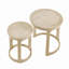 Ensemble de tables basses 24 "2PCS-800968350