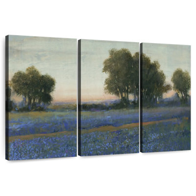 Alvord Blue Bonnet Field II