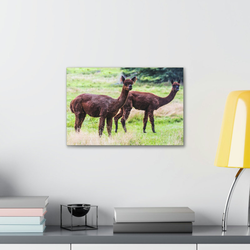 No Frame Print on Canvas, 11cm H x 14cm W