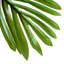 Outsunny Artificial Tree Indoor Outdoor Fake Palm Tree 150 cm 19 Leaves