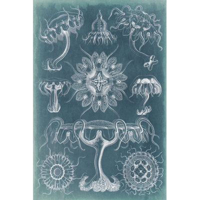 Sealife Blueprint III - Wrapped Canvas Painting