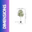 155cm Faux Olive Tree Tree in Freestanding