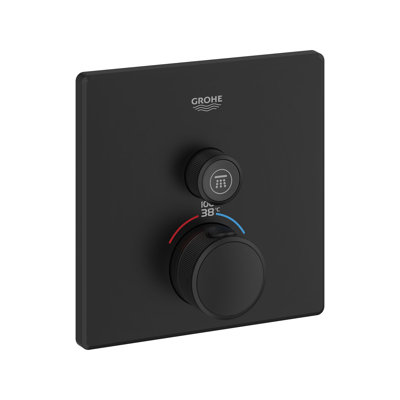 Single Function Thermostatic Valve Trim
