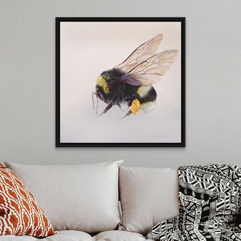 " Pollen Sac 2, 2011 ", Black Floater Framed, 38" H x 38" W x 1.75" D