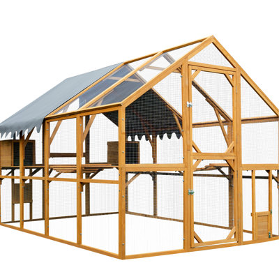 Outdoor Yellow Chicken Coop Kitten Activity Enclosure, Walk - In With Easy Access Enter Door, Two Small Exit , Galvanized Wire Mesh And Sliding Locks