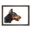 Magnificent Doberman Dog - Picture Frame Graphic Art Print-56859725-56859724
