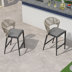 Dark Gray Frame/Gray Cushion