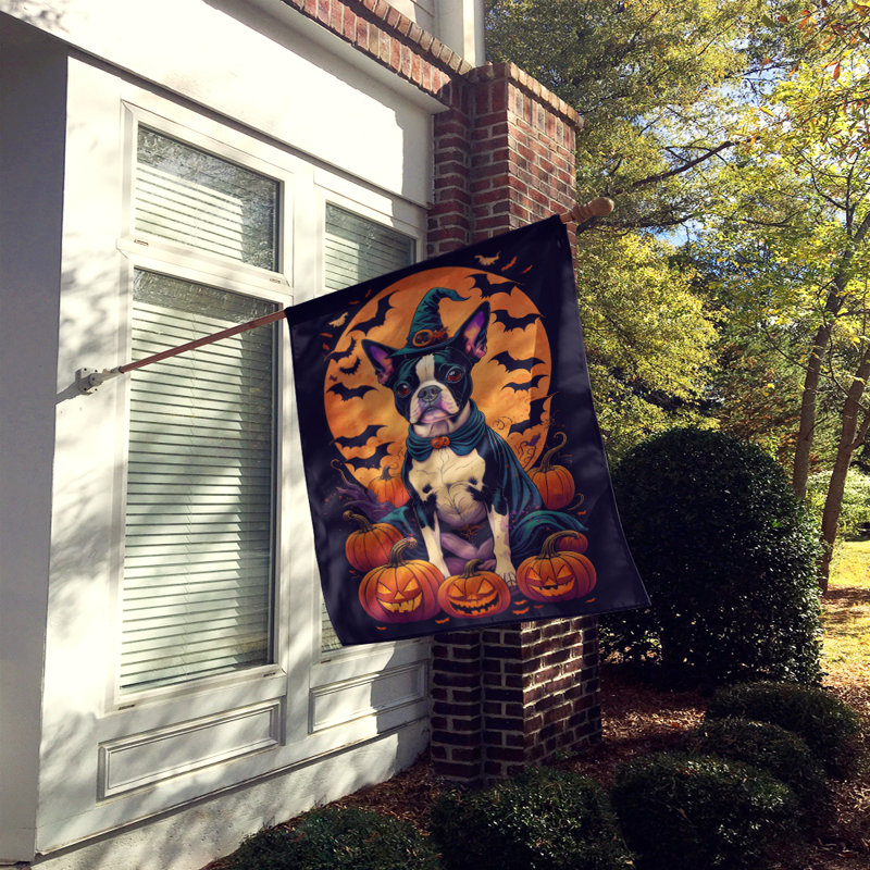 Jamayne Double Sided Polyester Halloween Garden Flag, 40" x 28"