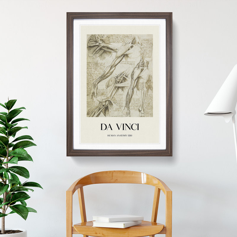 Human Anatomy Vol.1 by Leonardo Da Vinci - Picture Frame Drawing, 36cm H x 27cm W x 2cm D, Walnut Framed