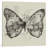 " Butterfly Effect " by Tobias Fonseca-18690198-74270806-74270807
