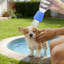 Pomme de douche portable en silicone pour animaux de compagnie, 2 x 2 x 1,3 pouces, bleu-131215925