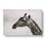 Giraffe Vol.4 - Wrapped Canvas-61855103
